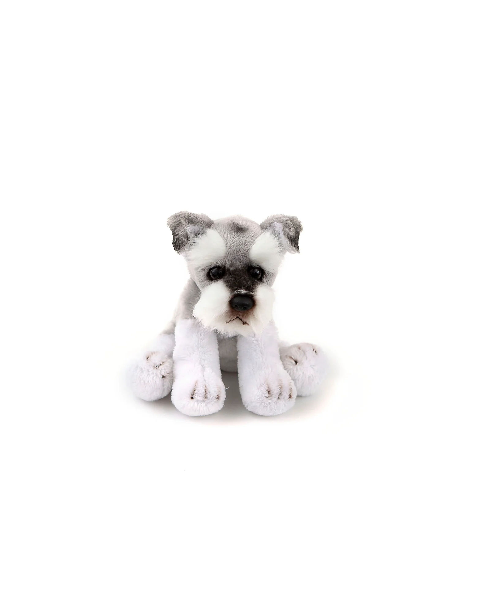 Schubert Junior Schnauzer Small