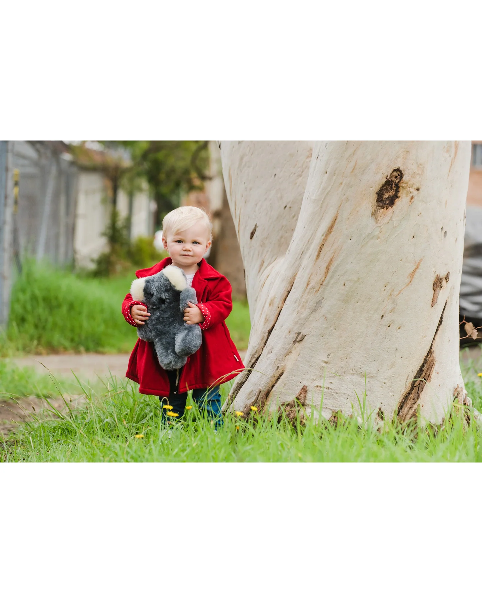 FLATOUTbear Koala - Image 4