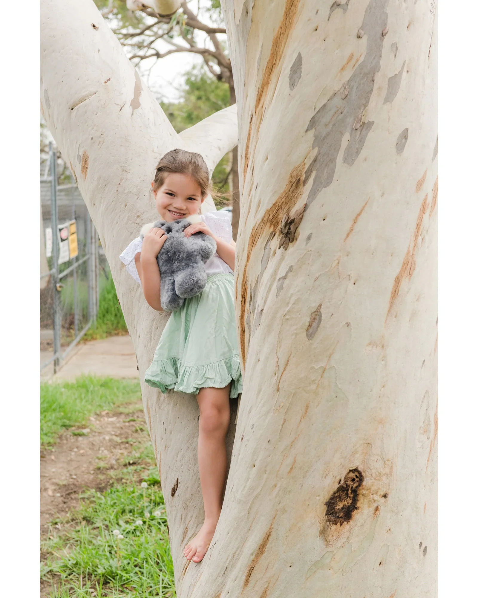 FLATOUTbear Koala - Image 6