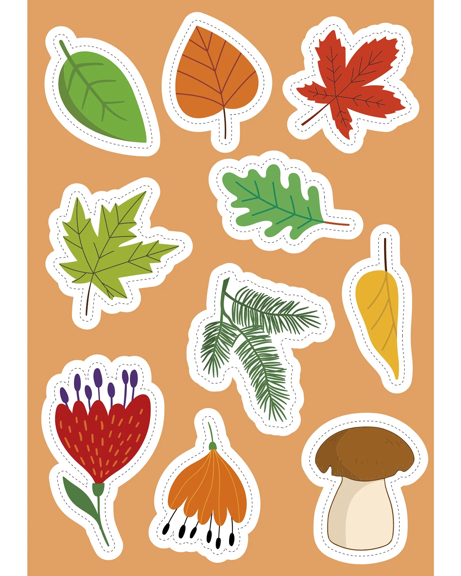 Sassi Sticker and Activity Book Nature - Image 6
